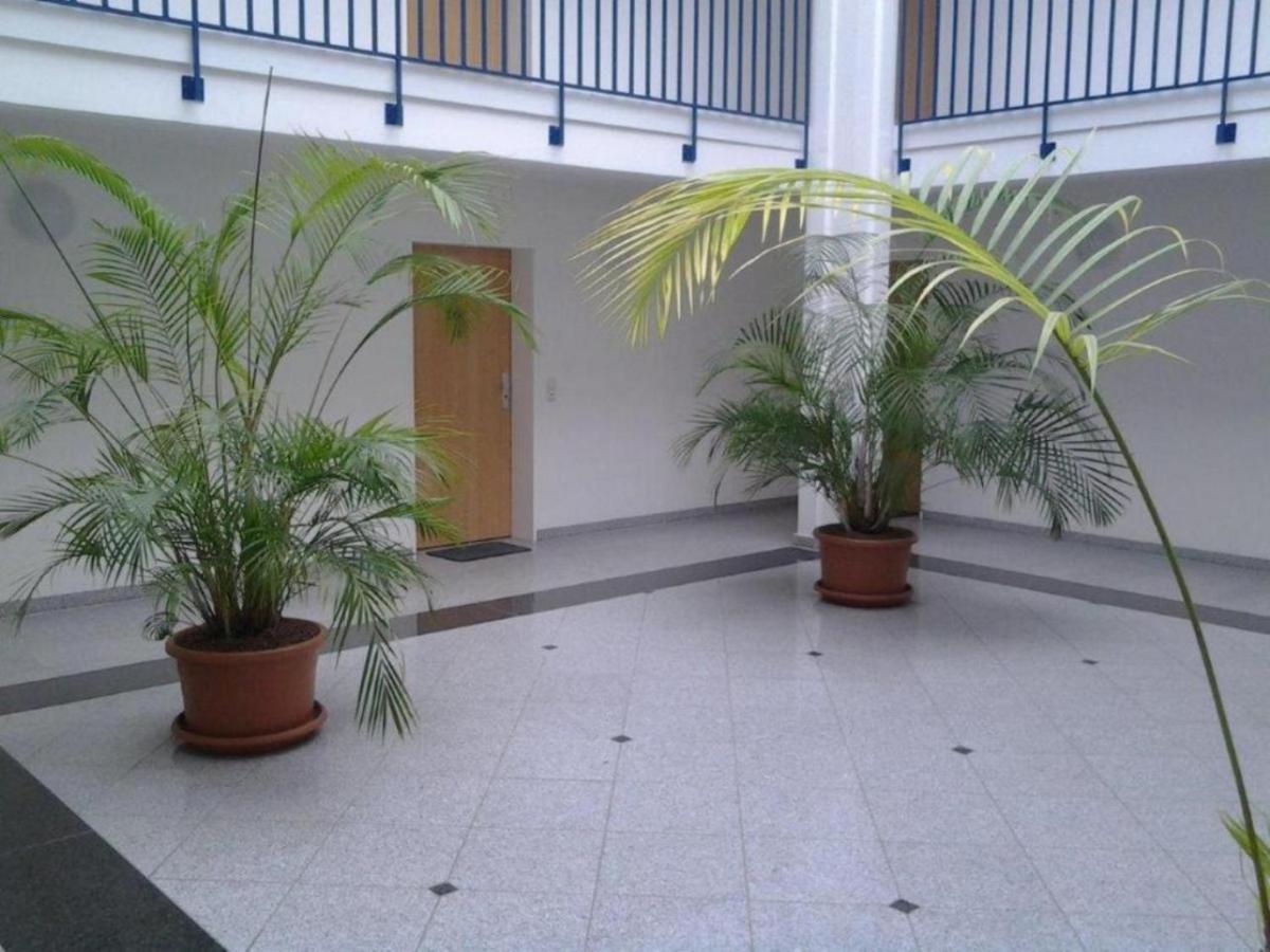 Residenz Am Strand Wohnung 2-43 Цингст Экстерьер фото